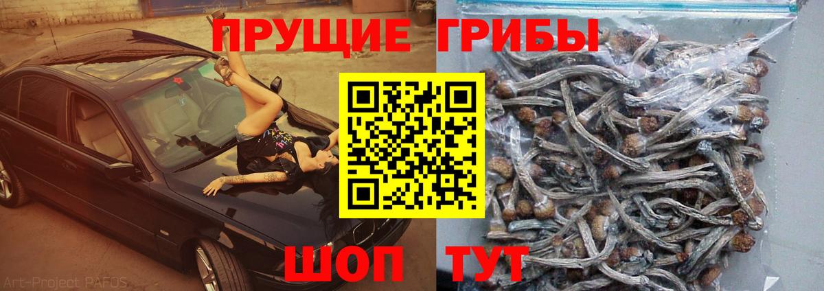 Мичуринск  Галлюциногенные грибы ЛСД  Галлюциногенные грибы Psilocybine cubensis  Вход с VPN 