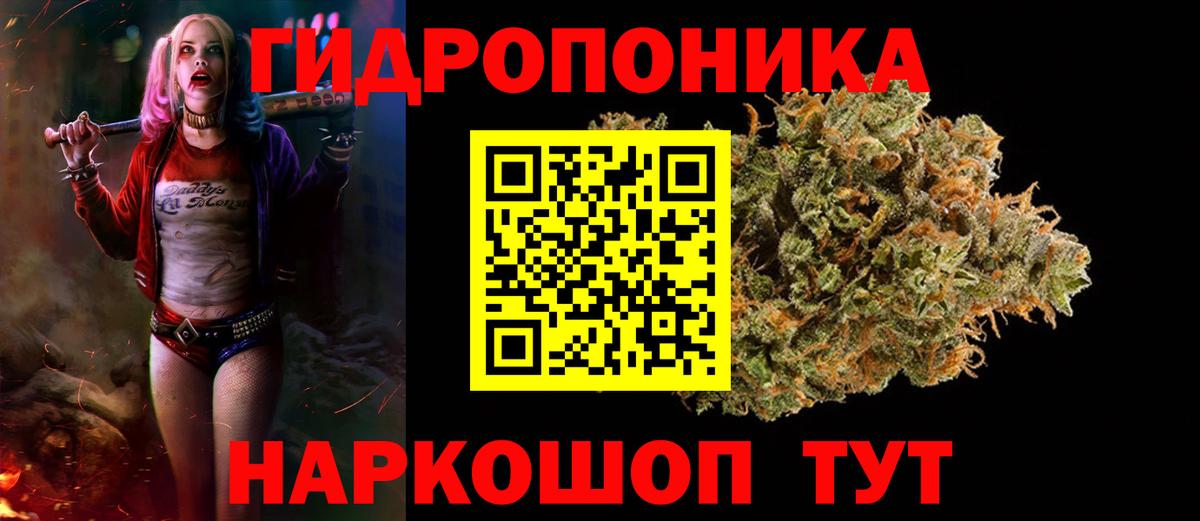 Шишки марихуана конопля  Вход с VPN  МАРИХУАНА тримм  Мичуринск  Канабис конопля  Канабис индика 